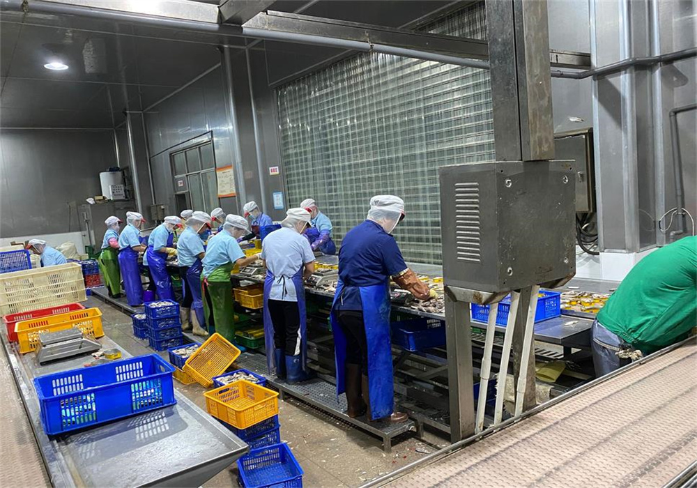 canned food factory worker.jpg