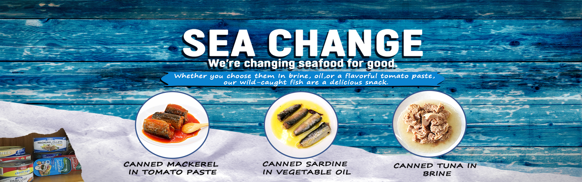 canned sardine fish